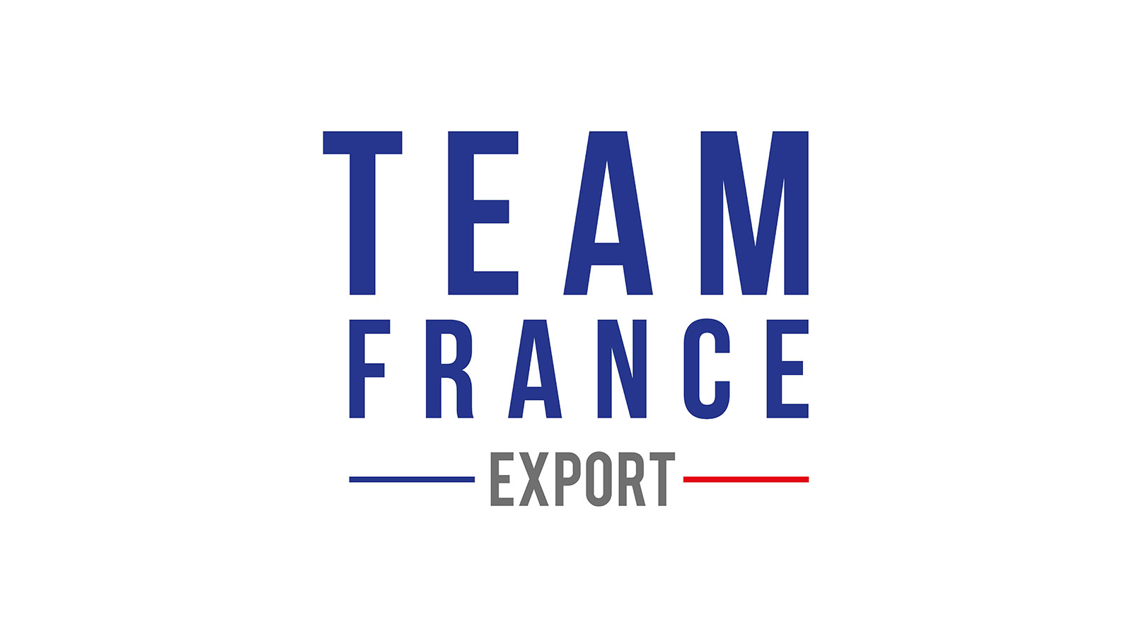 Logo Team France Export